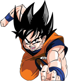 BIOGRAFIA DE GOKU